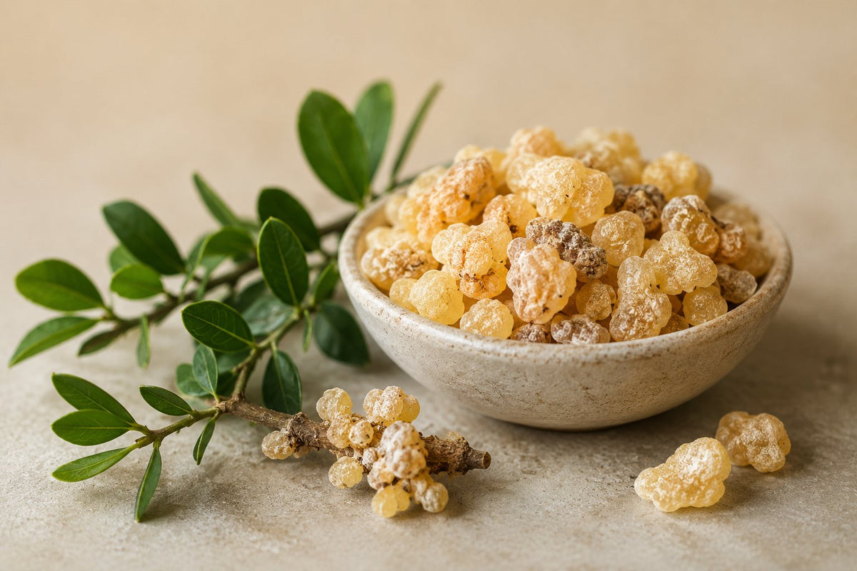 Resina natural de boswellia utilizada en la fórmula de CBCare Elite.